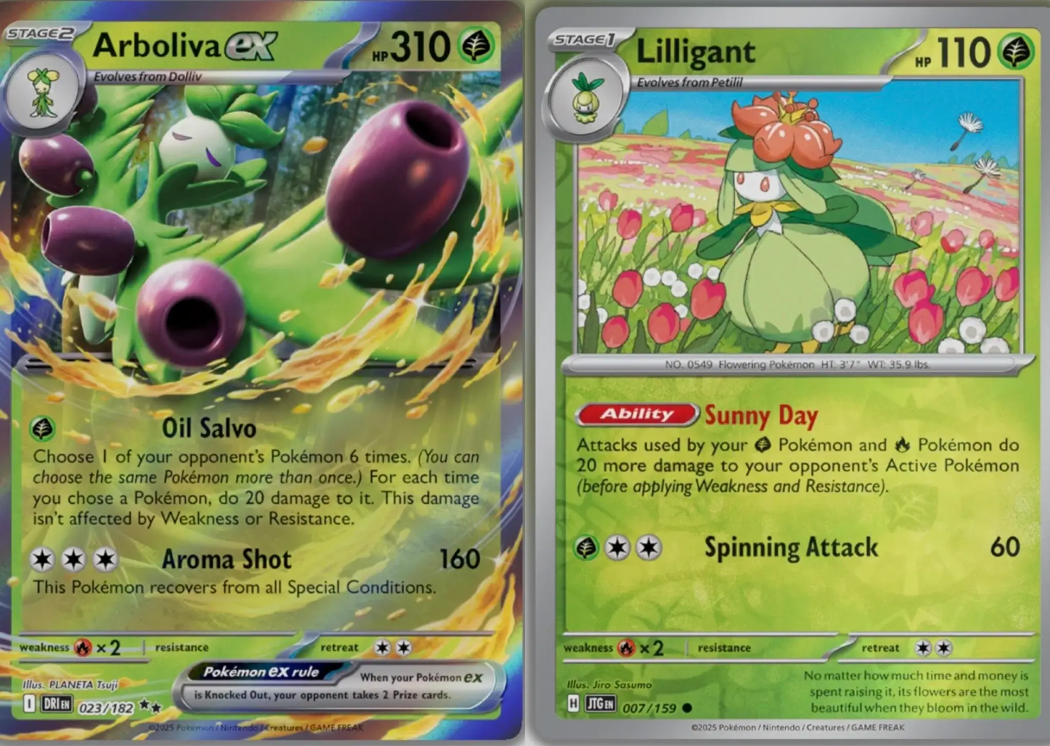 Arboliva ex 023/182 y Lilligant 007/159 cartas Pokémon TCG combo planta Oil Salvo y Sunny Day